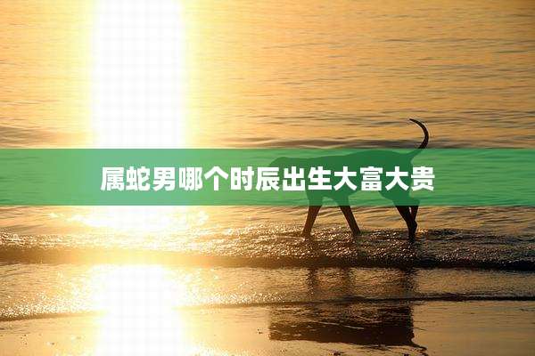 属蛇男哪个时辰出生大富大贵