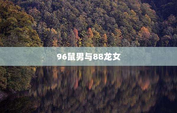 96鼠男与88龙女