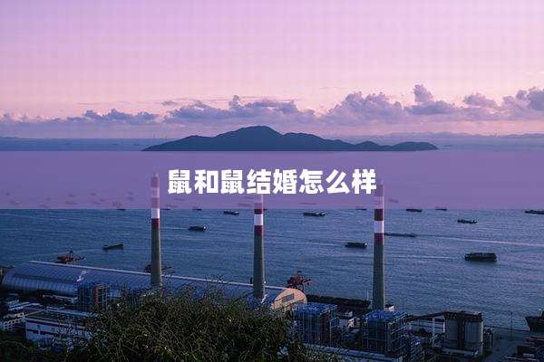 鼠和鼠结婚怎么样