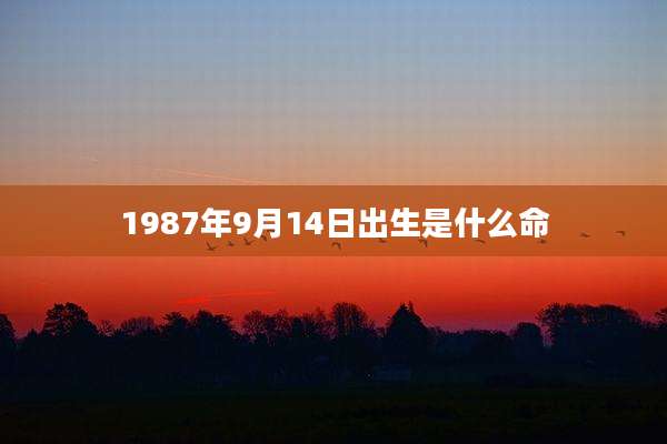 1987年9月14日出生是什么命