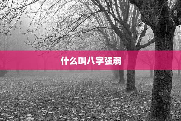 什么叫八字强弱