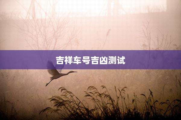 吉祥车号吉凶测试