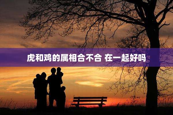 虎和鸡的属相合不合 在一起好吗