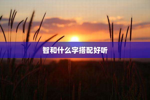 智和什么字搭配好听