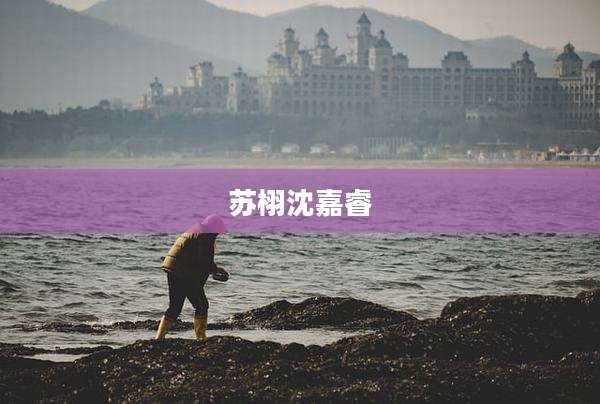 苏栩沈嘉睿