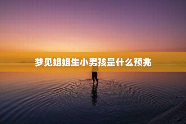 梦见姐姐生小男孩是什么预兆