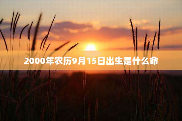 2000年农历9月15日出生是什么命