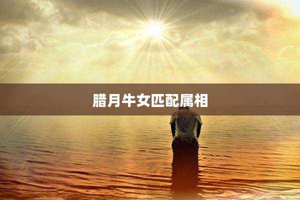 腊月牛女匹配属相