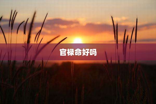 官禄命好吗