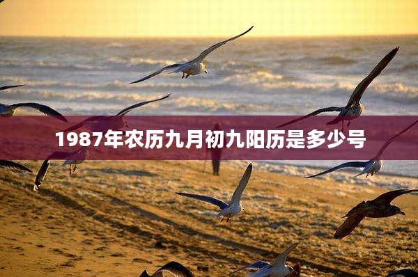 1987年农历九月初九阳历是多少号