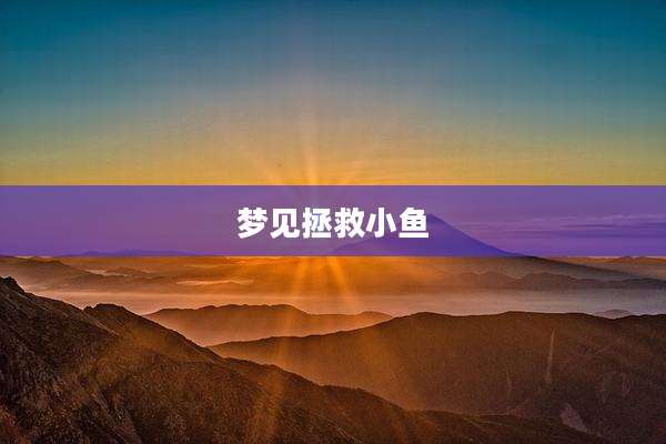 梦见拯救小鱼