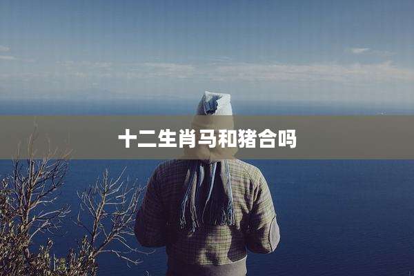 十二生肖马和猪合吗