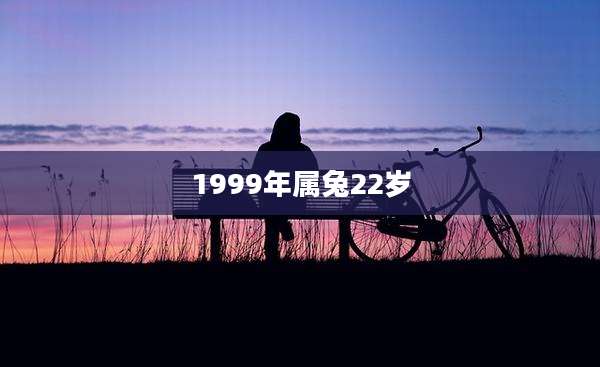 1999年属兔22岁
