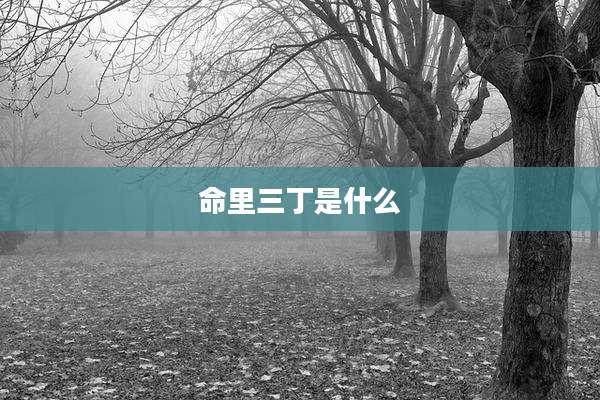 命里三丁是什么