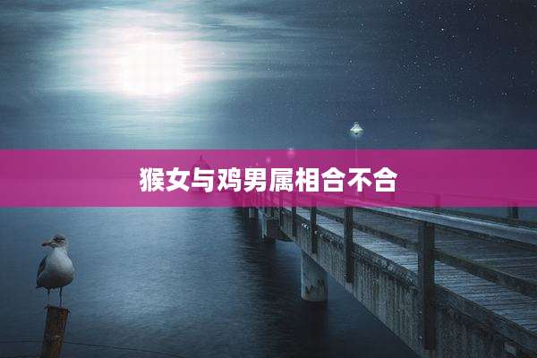 猴女与鸡男属相合不合