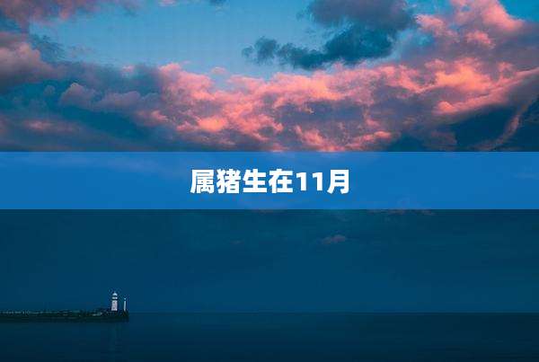 属猪生在11月
