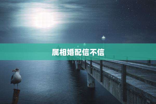 属相婚配信不信