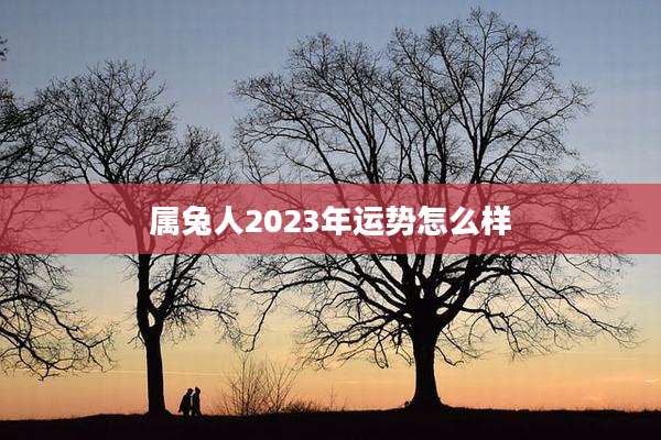 属兔人2023年运势怎么样