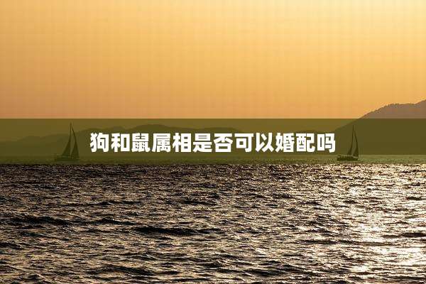 狗和鼠属相是否可以婚配吗