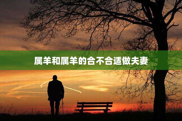 属羊和属羊的合不合适做夫妻