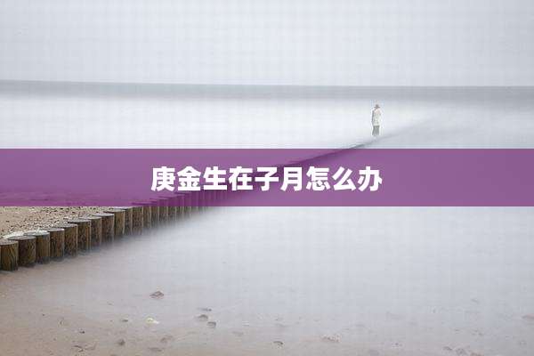 庚金生在子月怎么办