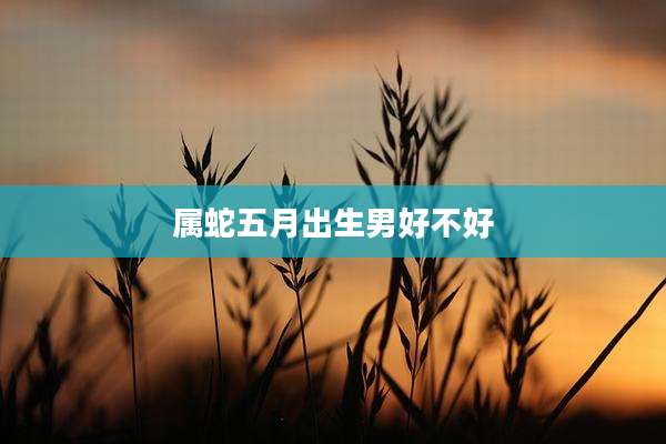 属蛇五月出生男好不好
