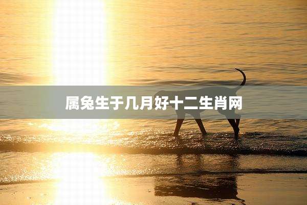 属兔生于几月好十二生肖网