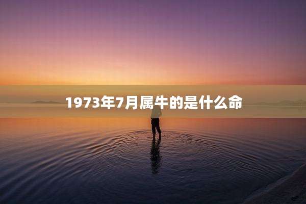 1973年7月属牛的是什么命