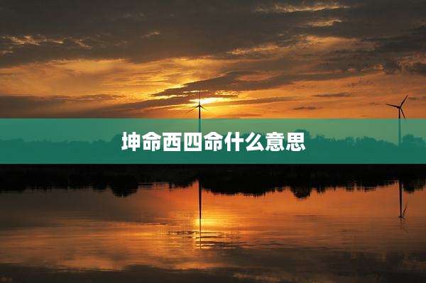 坤命西四命什么意思