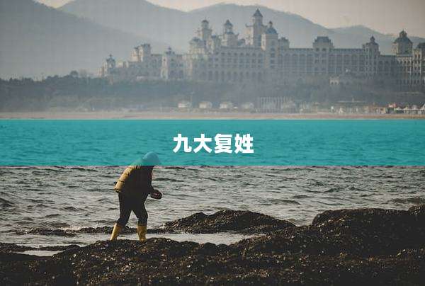 九大复姓