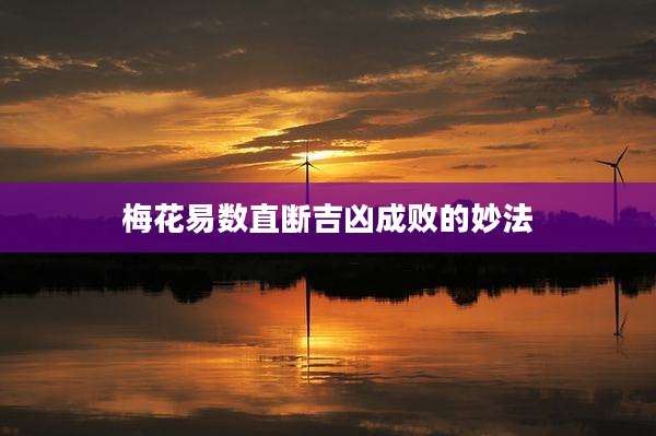 梅花易数直断吉凶成败的妙法