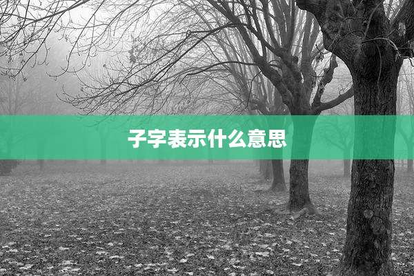 子字表示什么意思