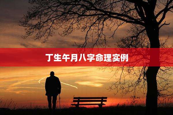 丁生午月八字命理实例