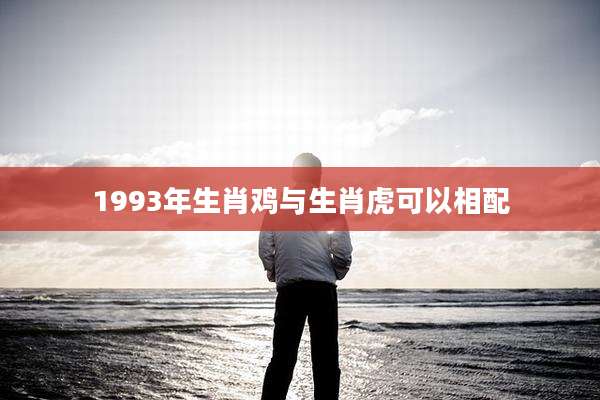 1993年生肖鸡与生肖虎可以相配