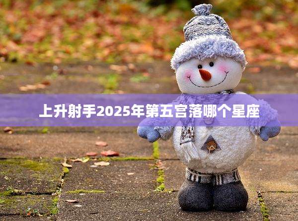 上升射手2025年第五宫落哪个星座
