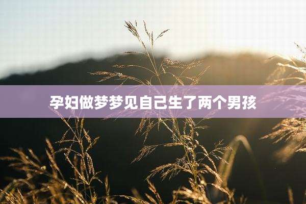 孕妇做梦梦见自己生了两个男孩