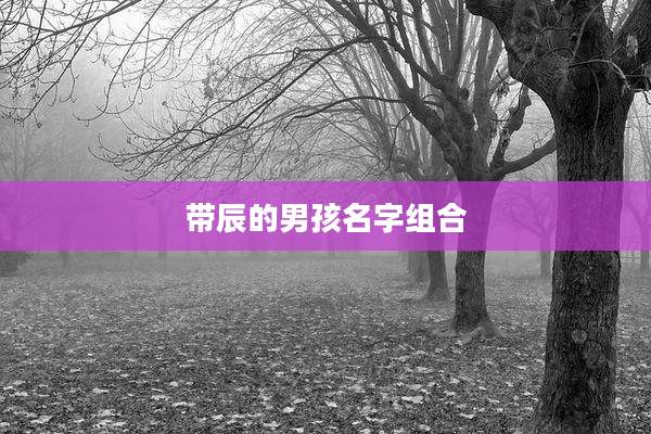 带辰的男孩名字组合