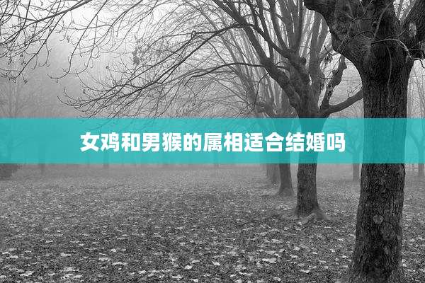 女鸡和男猴的属相适合结婚吗