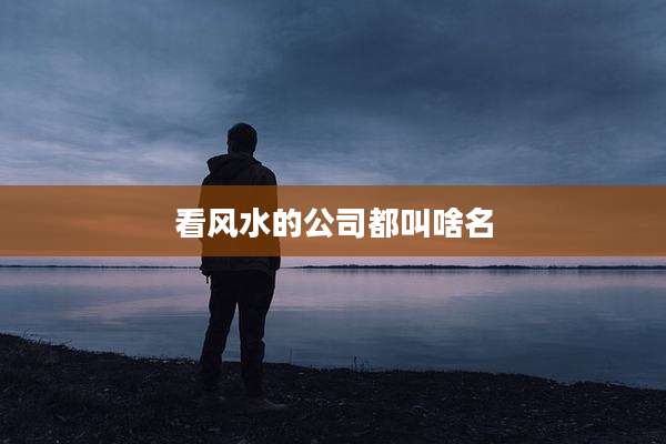 看风水的公司都叫啥名
