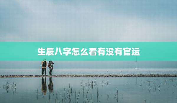 生辰八字怎么看有没有官运