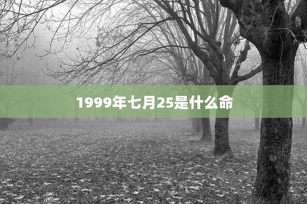 1999年七月25是什么命