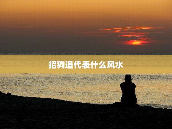招狗追代表什么风水