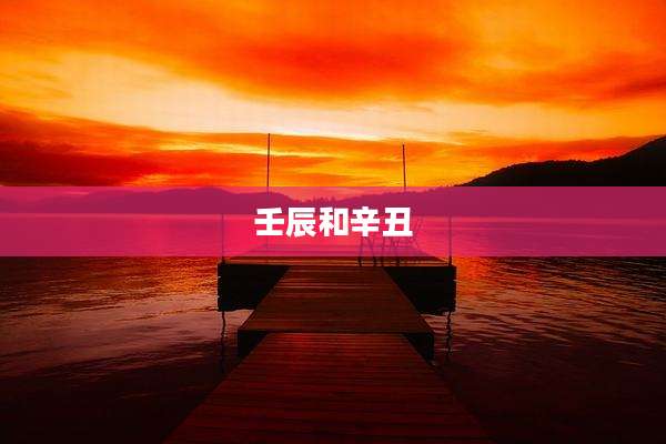 壬辰和辛丑