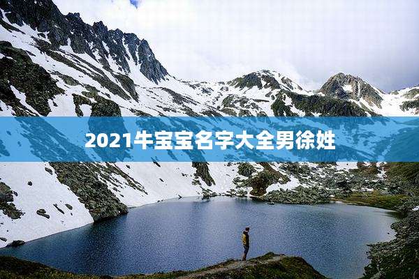 2021牛宝宝名字大全男徐姓