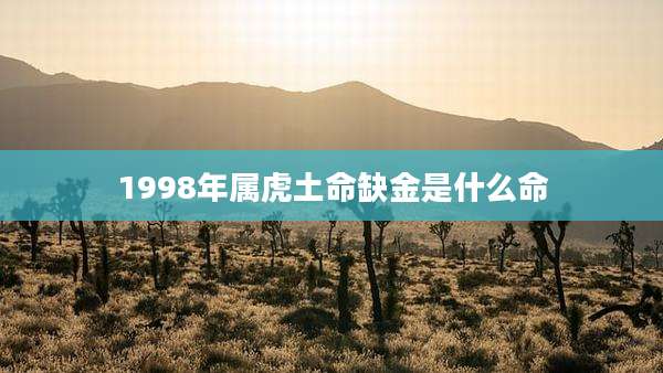 1998年属虎土命缺金是什么命