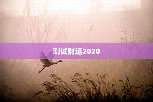 测试财运2020