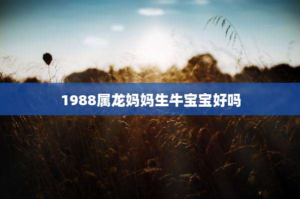 1988属龙妈妈生牛宝宝好吗