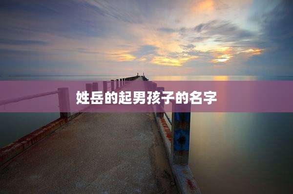 姓岳的起男孩子的名字