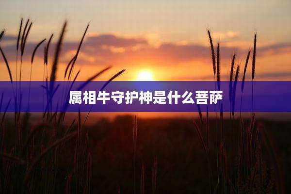 属相牛守护神是什么菩萨
