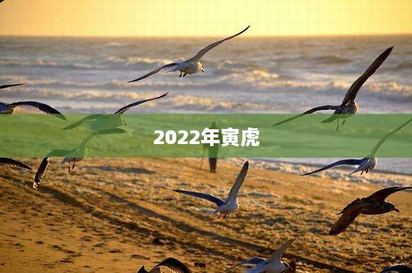 2022年寅虎
